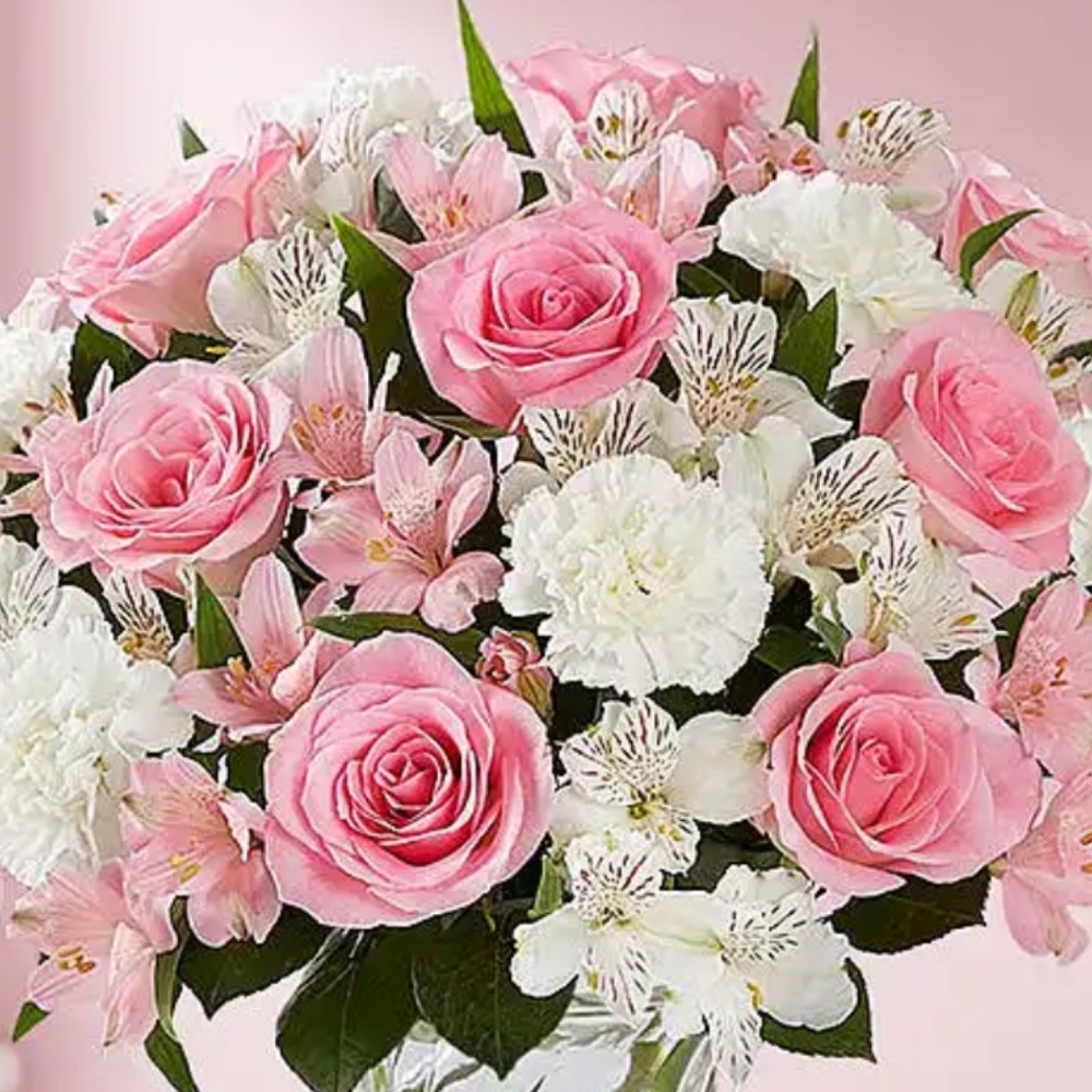 Meet your Posher, Kim